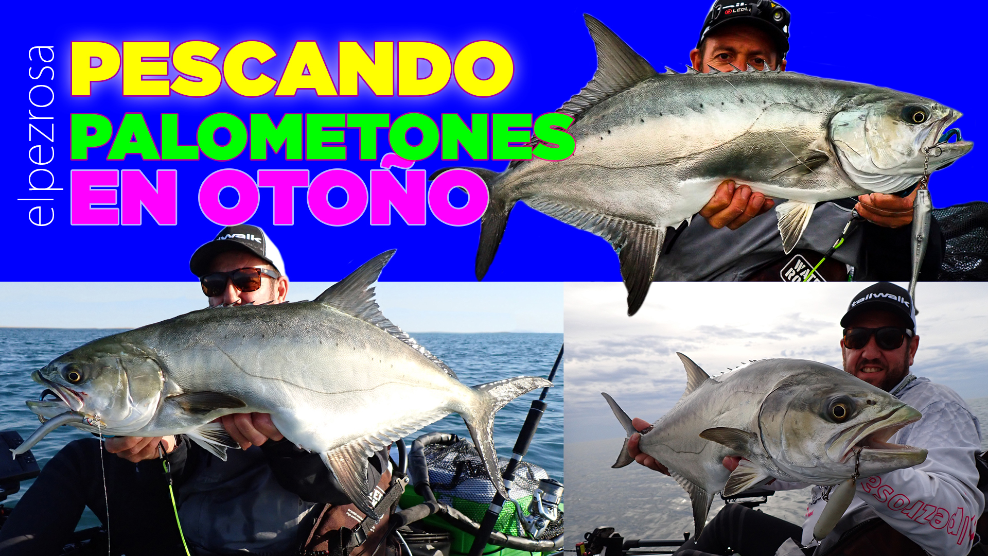 Mejores señuelos para el palometón: Tres señuelos favoritos